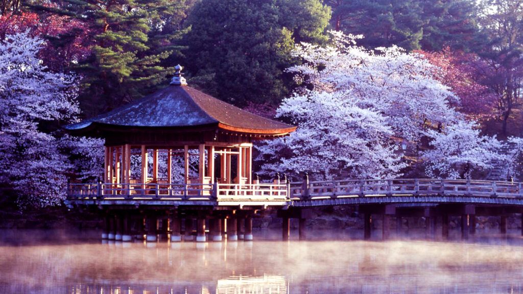 Historic Cities in Japan: Nara - The First Capital of Japan