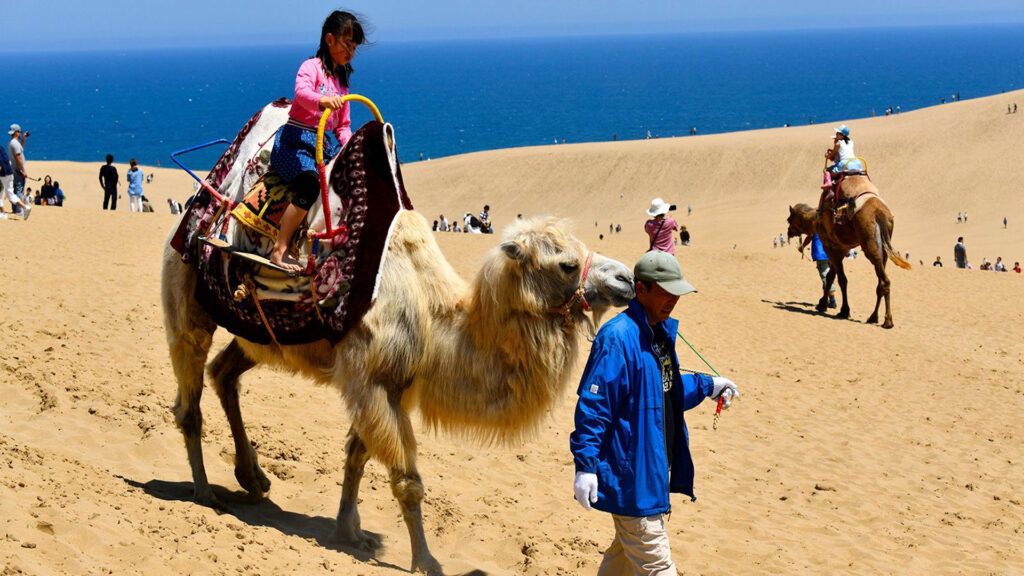 Mysterious places in Japan - The Tottori Sand Dunes